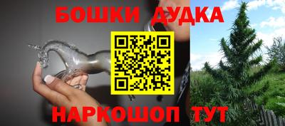 spice Бийск