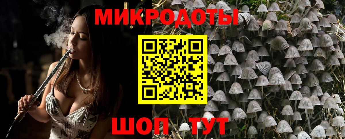 Галлюциногенные грибы прущие грибы  Вход с VPN  Звенигород 